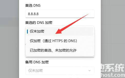 win11如何加密DNS win11加密DNS操作教程(4)