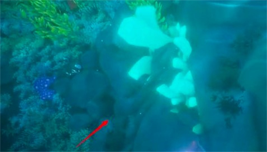 盗贼之海珊瑚墓地圣坛怎么进 盗贼之海珊瑚墓地圣坛攻略(4)