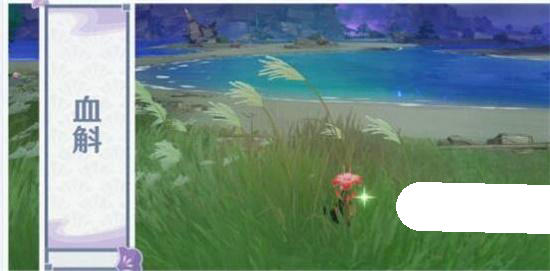 原神稻妻区域特产有哪些 原神稻妻区域特产介绍(1)