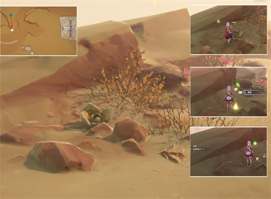 原神种植金蔷薇隐藏任务怎么做 原神种植金蔷薇隐藏任务攻略分享(5)