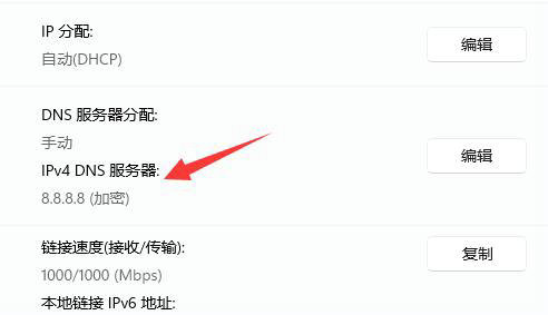 win11如何加密DNS win11加密DNS操作教程(5)