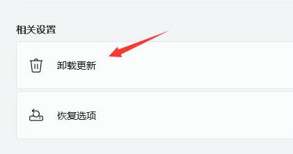 windows11更新完一直闪屏怎么办 windows11更新完一直闪屏解决办法(4)