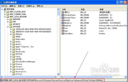 为什么电脑显示不了隐藏文件(1)
