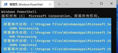 windows11没有应用商店怎么办 windows11没有应用商店解决方法(2)