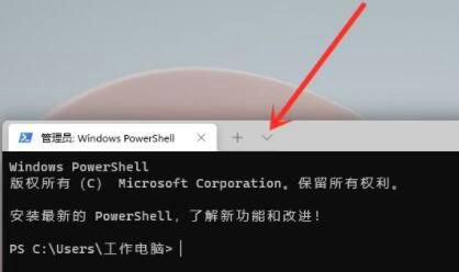 win11命令行窗口怎么打开 win11命令行窗口打开教程(2)