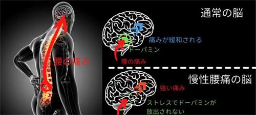 健身环大冒险可以减肥吗 健身环大冒险减肥效果怎么样(1)