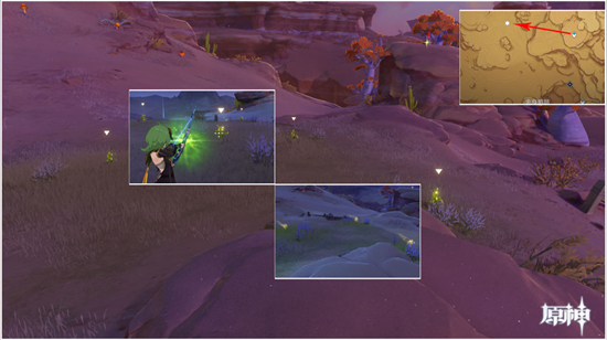 原神种植金蔷薇隐藏任务怎么做 原神种植金蔷薇隐藏任务攻略分享(7)