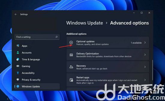 win11未检测到nvidia图形卡怎么办 win11检测不到nvidia显卡解决办法(3)