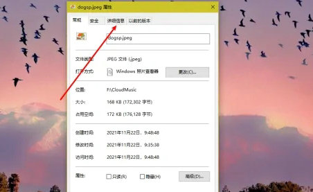 windows10怎么看图片属性 windows10图片属性查看方法(1)