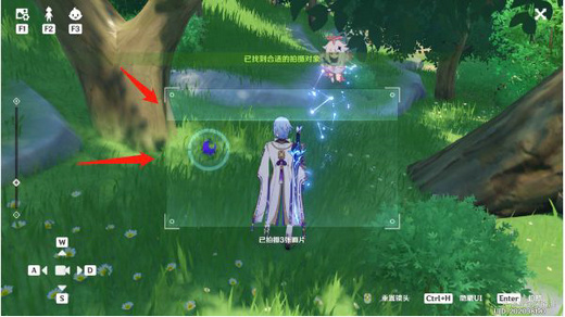 原神蒙德特产有哪些 原神蒙德特产分布图大全(5)