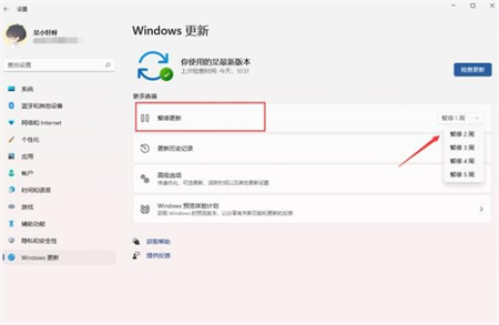 win11自动更新怎么关闭 win11自动更新怎么关闭方法介绍(1)