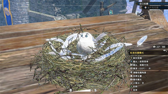 怪物猎人崛起曙光福木兔拍照任务怎么做 怪物猎人崛起曙光福木兔拍照任务攻(5)