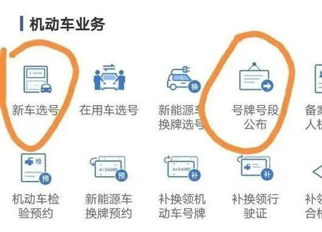 交管12123自编选号怎么操作 交管12123自编选号技巧分享(1)