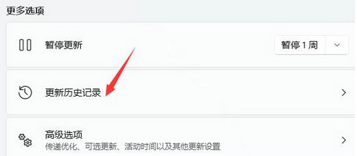 windows11更新完一直闪屏怎么办 windows11更新完一直闪屏解决办法(3)