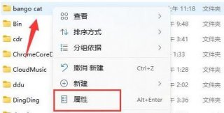 win11文件夹怎么设置密码 win11文件夹密码设置方法介绍