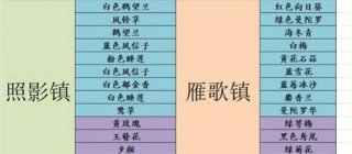 花店物语帽子先生外出旅行怎么玩 花店物语帽子先生旅行攻略
