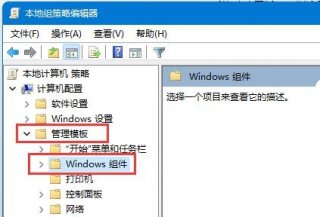 windows11自动更新在哪里打开 windows11自动更新打开位置介绍