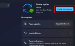 windows11资源管理器闪退怎么办 windows11资源管理器闪退解决方法