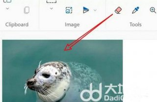 win11画图工具怎么调整图片大小 win11画图工具调整图片大小操作步骤