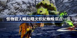 怪物猎人崛起曙光炽妃蜘蛛弱点是什么 怪物猎人崛起曙光炽妃蜘蛛弱点属性介