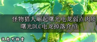 怪物猎人崛起曙光电龙弱什么属性 怪物猎人崛起曙光电龙弱点属性介绍