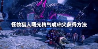 怪物猎人崛起曙光精气琥珀尖怎么获得 怪物猎人崛起曙光精气琥珀尖获取方法