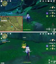 原神和兰那库拉一起找到枝任务怎么完成 原神和兰那库拉一起找到枝任务攻略