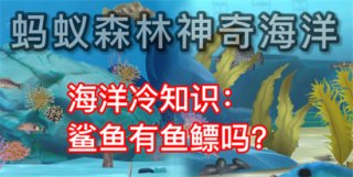 神奇海洋今日答案9.18 神奇海洋问题最新答案9月18日