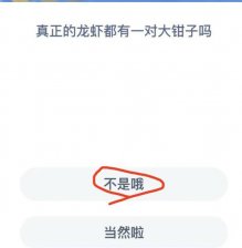 神奇海洋今日答案9.24 神奇海洋问题最新答案9月24日