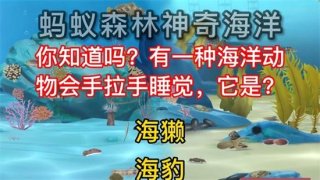 神奇海洋今日答案9.26 神奇海洋问题最新答案9月26日