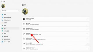 win11图片密码怎么设置 win11图片密码设置教程