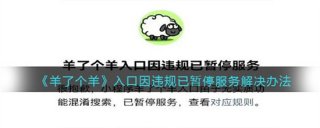 羊了个羊入口因违规已暂停服务怎么办 羊了个羊入口因违规已暂停服务解决方