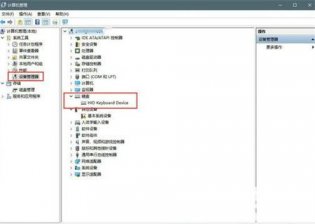 win11win键被锁怎么解锁 win11win键被锁怎么解锁方法介绍