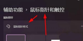 win11鼠标样式怎么反转 win11反转鼠标样式方法介绍