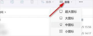 win11文件夹如何显示缩略图 win11文件夹如何显示缩略图方法介绍