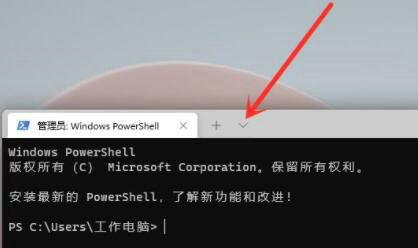 win11如何使用cmd命令打开系统设置 win11cmd命令打开系统设置操作步骤(1)