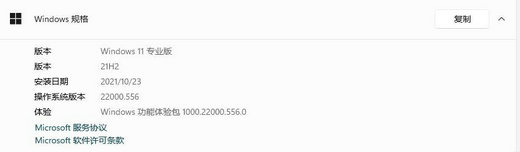 win11玩红警2突然就卡住不动怎么办 win11玩红警2突然就卡住不动解决办法(2)