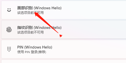 windows11面部识别怎么设置 windows11面部识别设置方法(2)