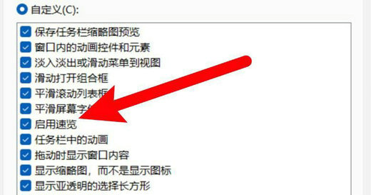 win11如何开启速览功能 win11速览功能开启教程(3)