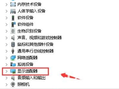 win10显卡异常代码31怎么解决 win10显卡异常代码31解决方案(1)