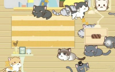 猫宅97怎么获得猫 猫宅97所有猫解锁攻略(1)