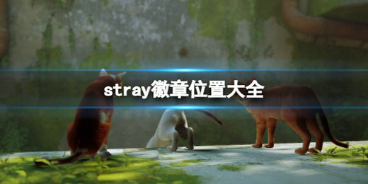 stray徽章在哪里收集 迷失stray徽章位置大全