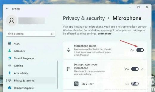 win11语音输入出现连接问题怎么解决 win11语音输入出现连接问题解决方案(2)