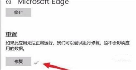 windows11浏览器打不开怎么办 windows11浏览器打不开解决方法(1)