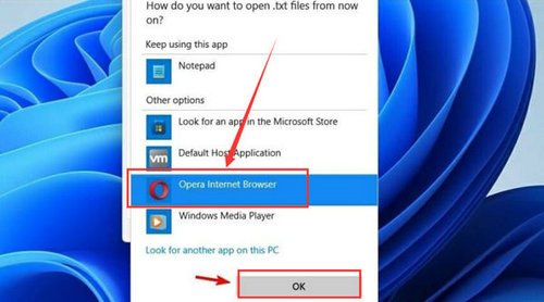 win11怎么设置默认打开方式 win11设置默认打开方式方法介绍(1)