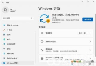 win11如何关闭系统更新 win11如何关闭系统更新方法介绍