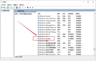 win10更新卡住不动怎么办 win10更新卡住不动解决方法