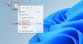 win11怎么设置默认打开方式 win11设置默认打开方式方法介绍