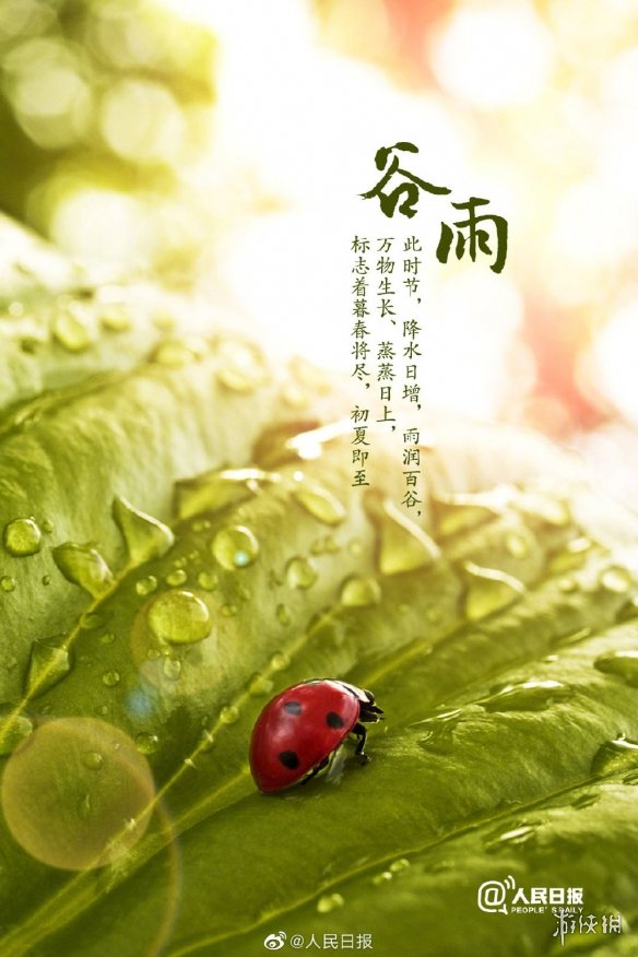 谷雨图片大全2022 2022谷雨图片分享