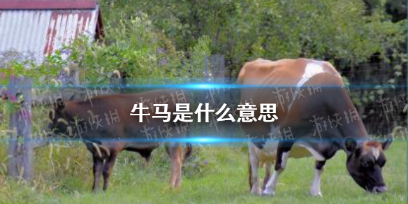 牛马是什么意思 牛马啥意思是什么梗